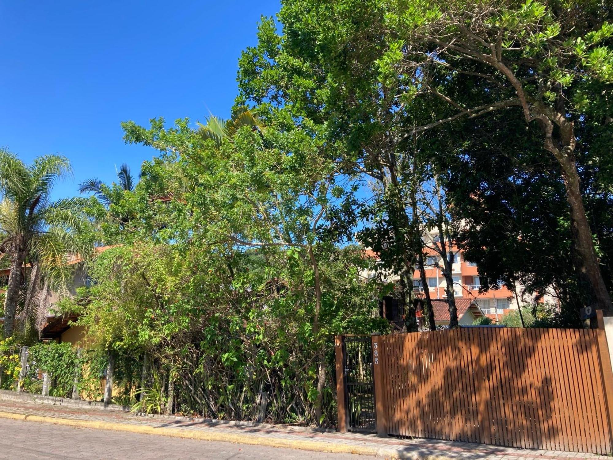 Casa Mico Leao Dourado Villa Bombinhas Esterno foto